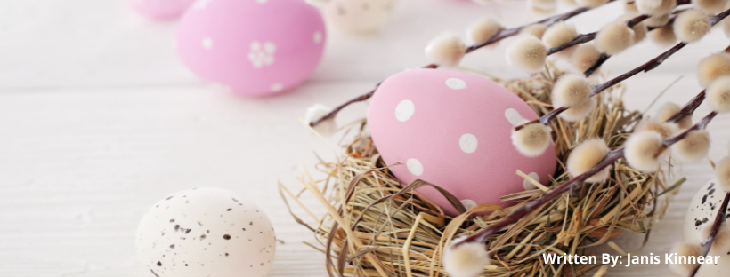 Nestle your career egg where YOU will matter